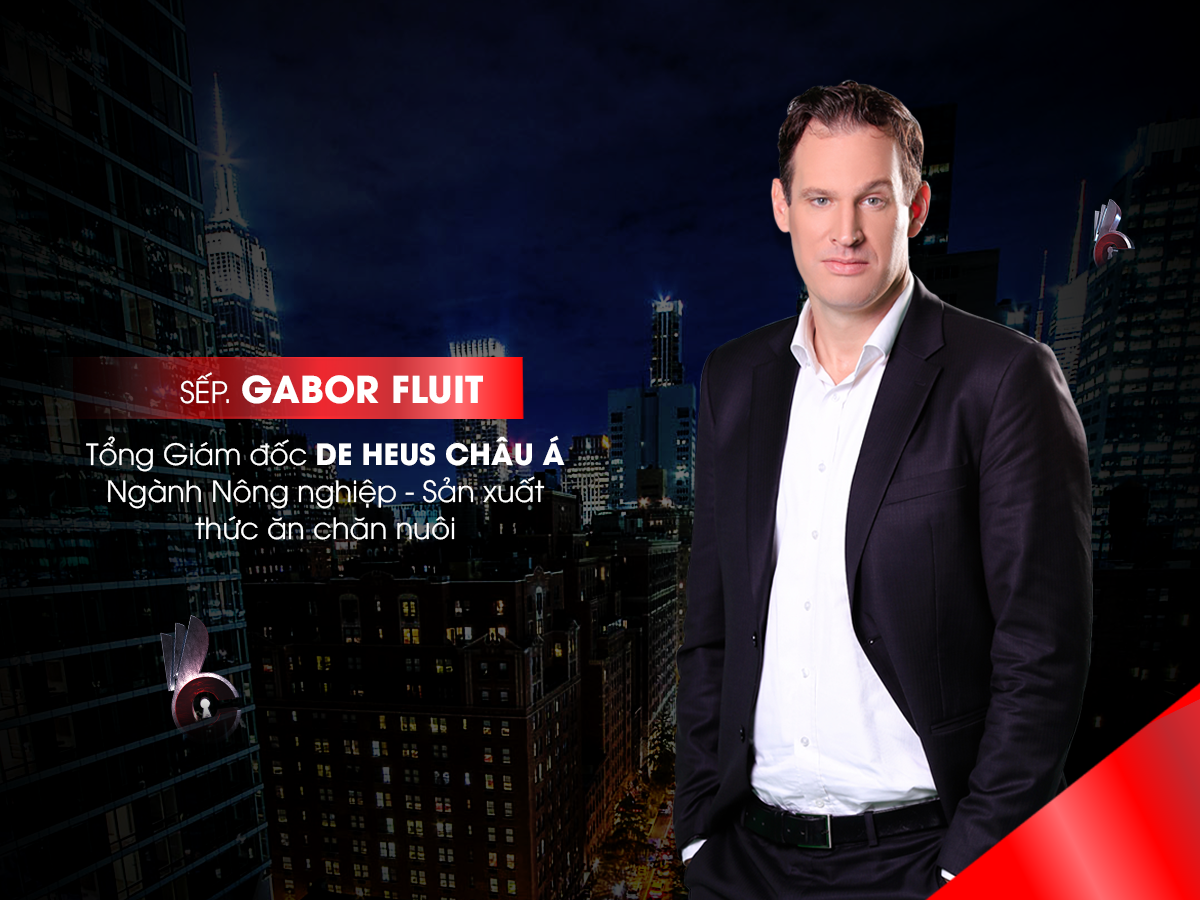 http://cohoichoai.com/boss/sep-gabor-fluit/